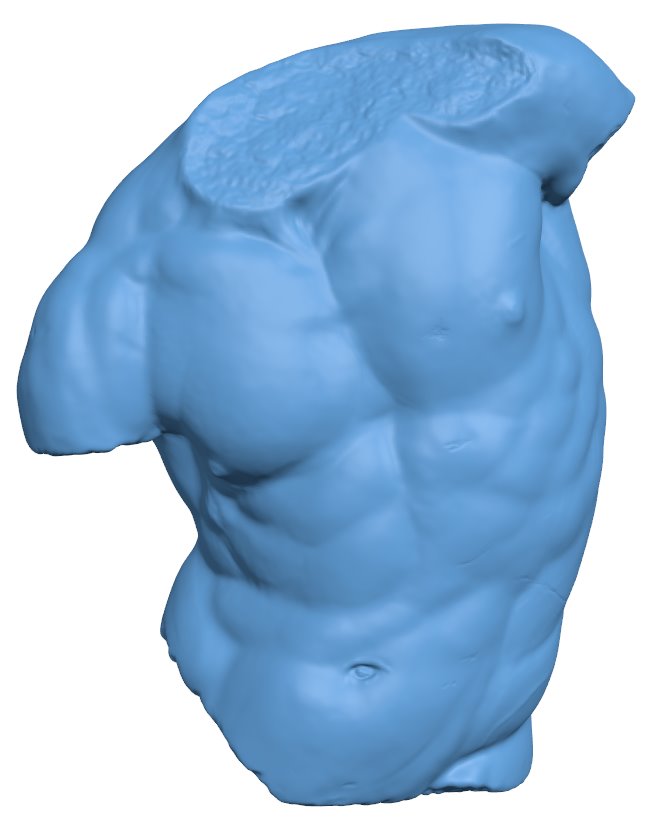 The Gaddi Torso