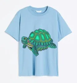 Turtle