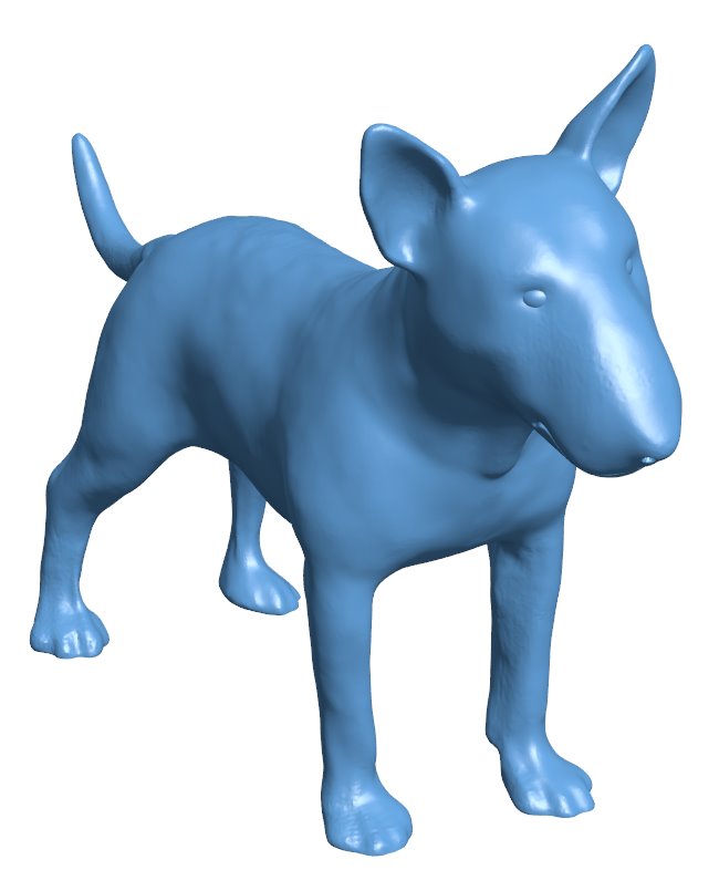 Dog bull terrier