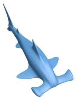 Hammer shark