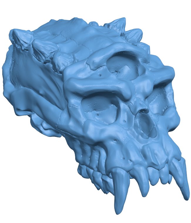 Head solid skull