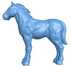 Horse