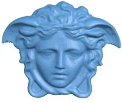 Medusa head