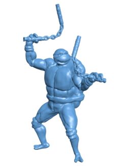 Mikey TMNT