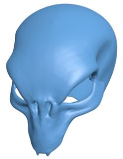 Sectoid skull