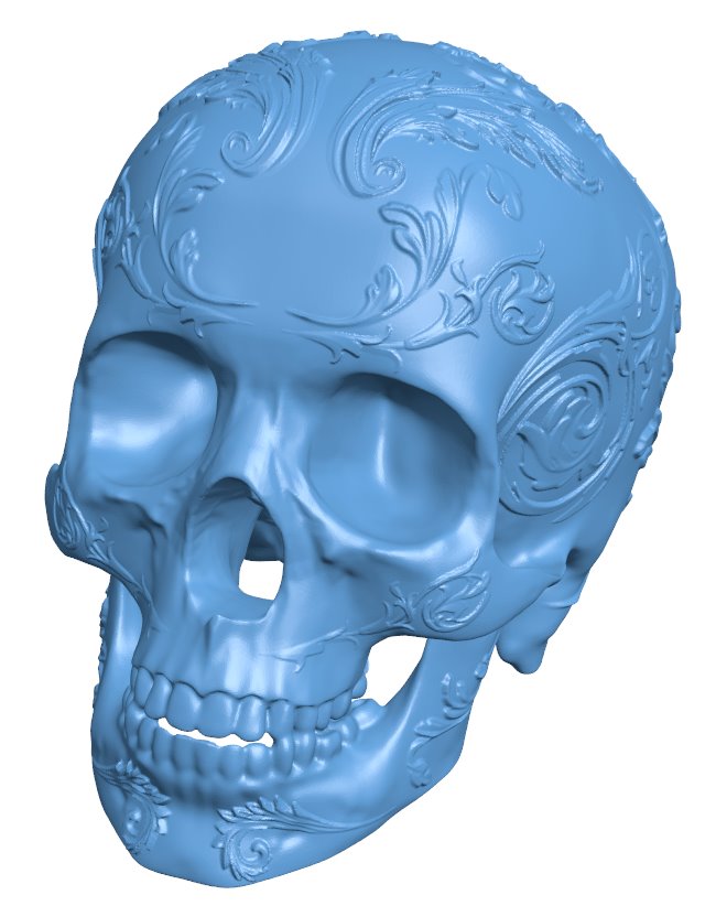 Skull Head