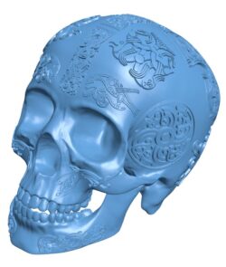 Viking Skull head