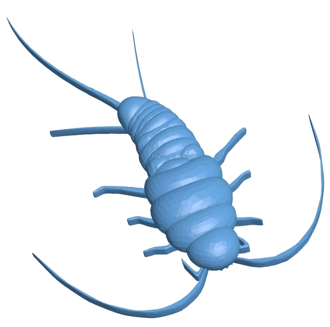 Arthropod