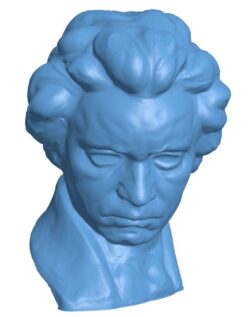 Beethoven head