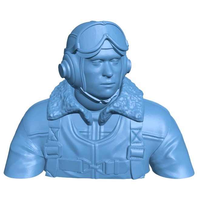 Bust of the pilot