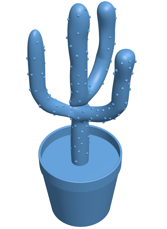 Cactus ring holder