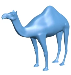 Camel