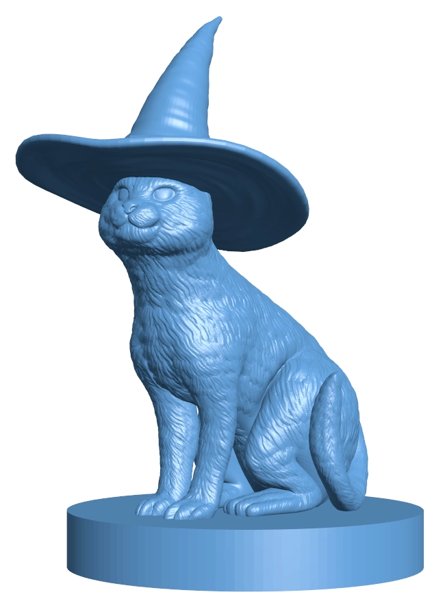 Cat with a witch hat