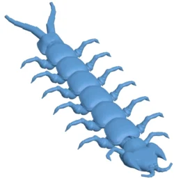 Centipede