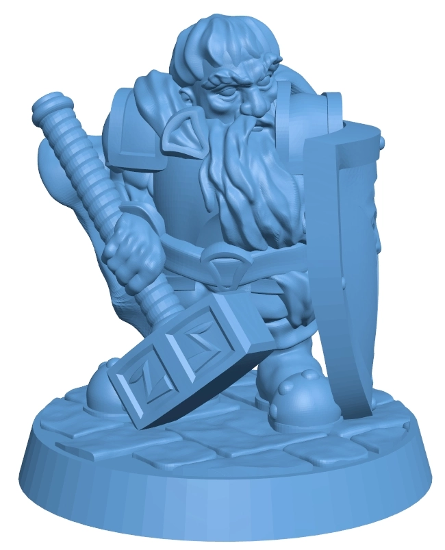 Dwarf paladin viking warrior man