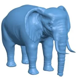 Elephant