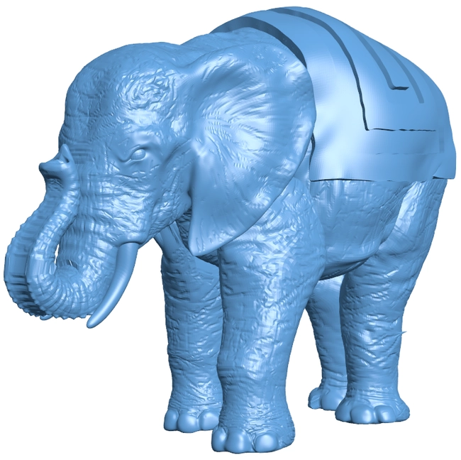 Elephant