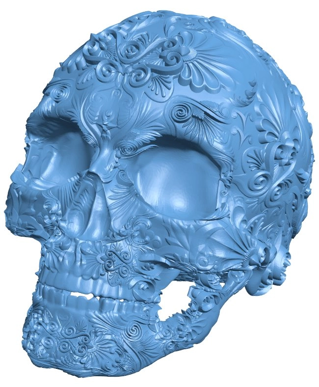 Fancy Skull