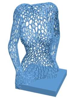 Female body Voronoi