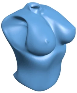 Female boobs