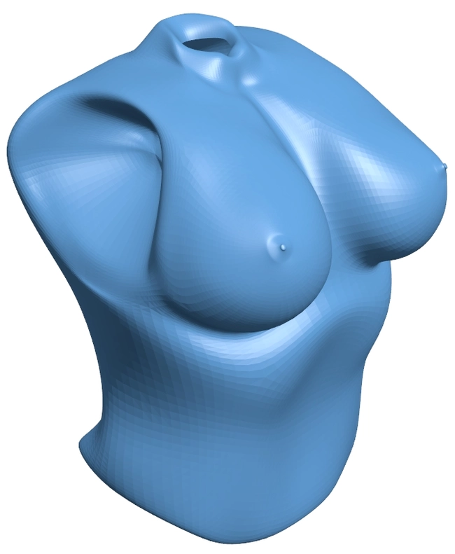 Female boobs