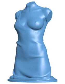 Female torso with gown