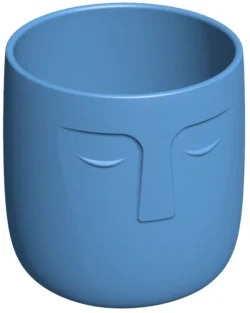 Flower pot with a face