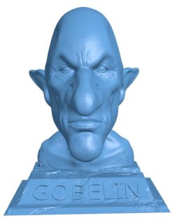 Gobelin head