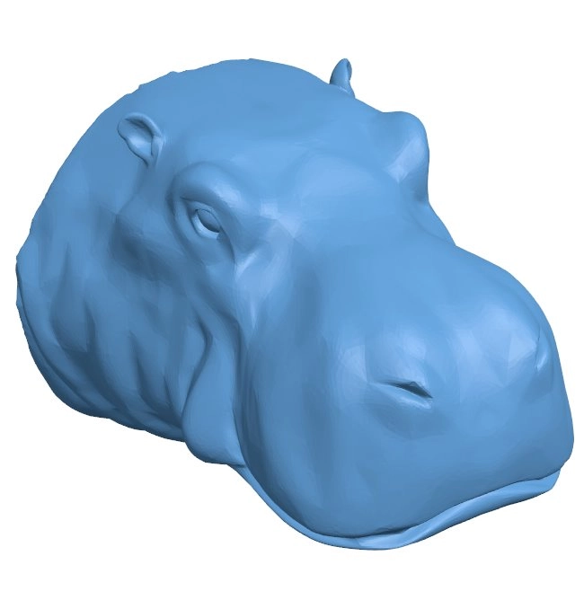 Hippo head