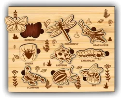 Insect puzzle