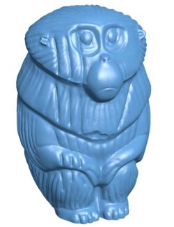 Kubo monkey talisman