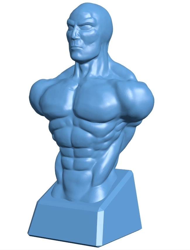 Man muscular torso - bust