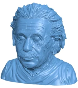 Mr Einstein bust