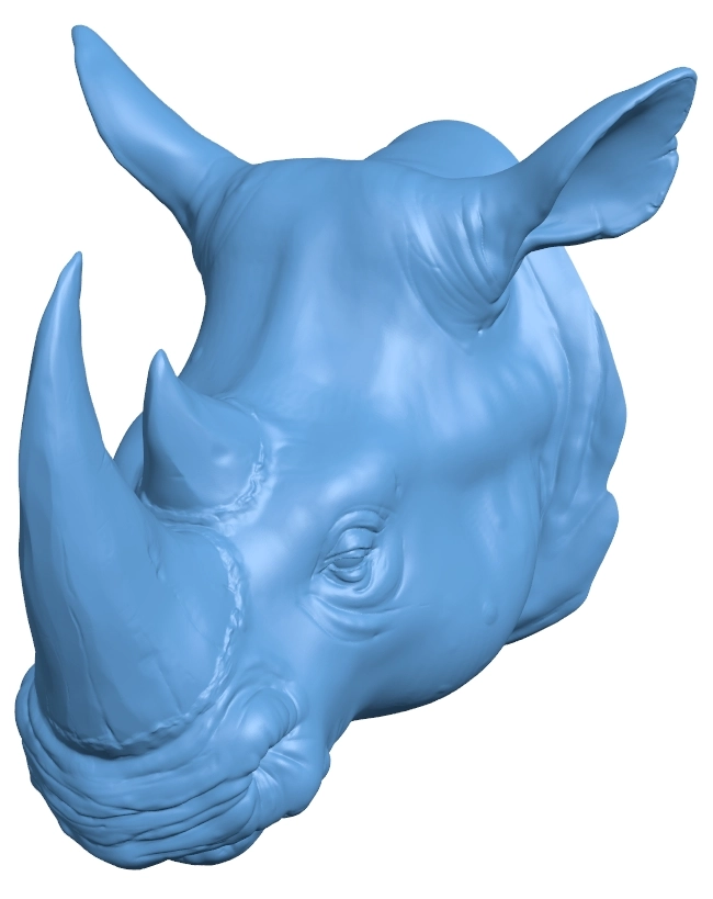 Rhino head