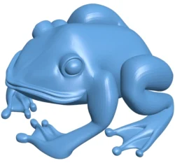 Rospo – frog