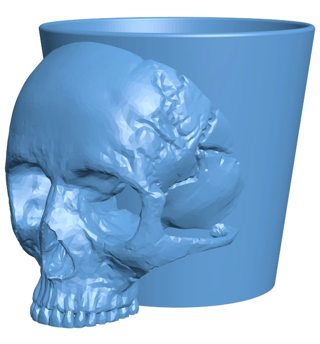 Skull cup