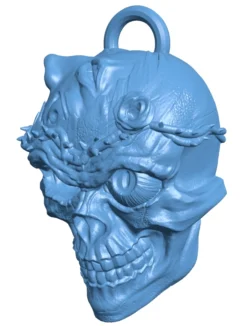 Skull knight head