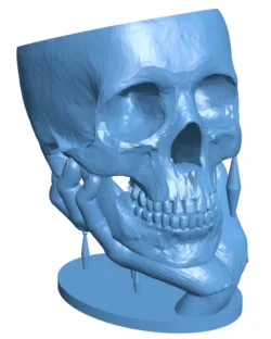 Skull shape cup