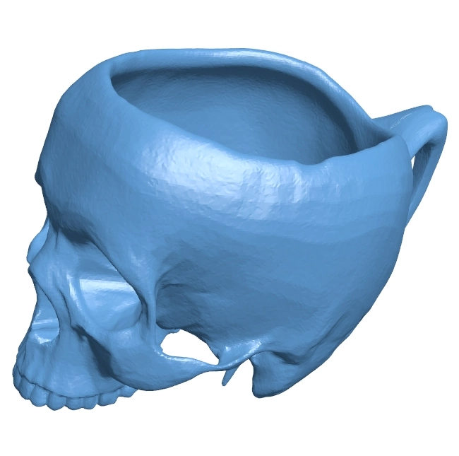 Skull shape cup