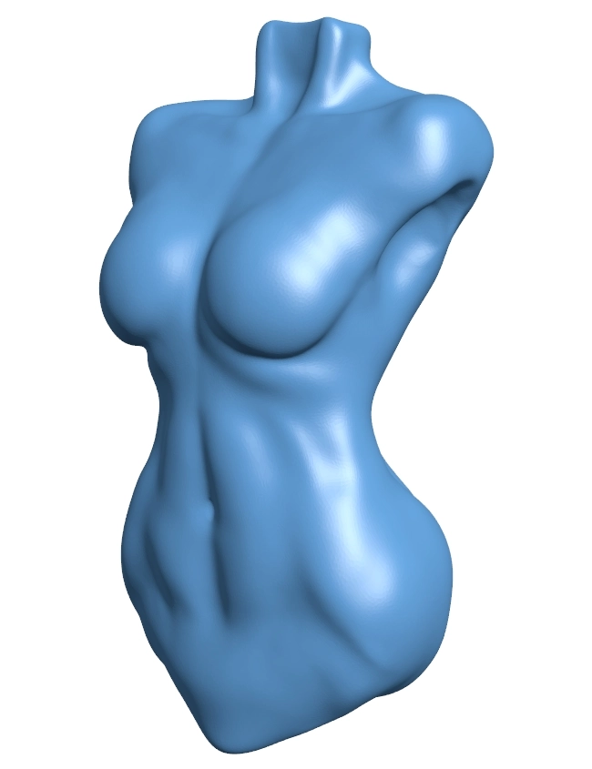 Torso base