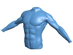 Torso of athlete