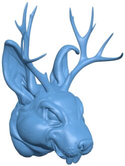 jackalope head