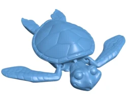 Baby turtle toy