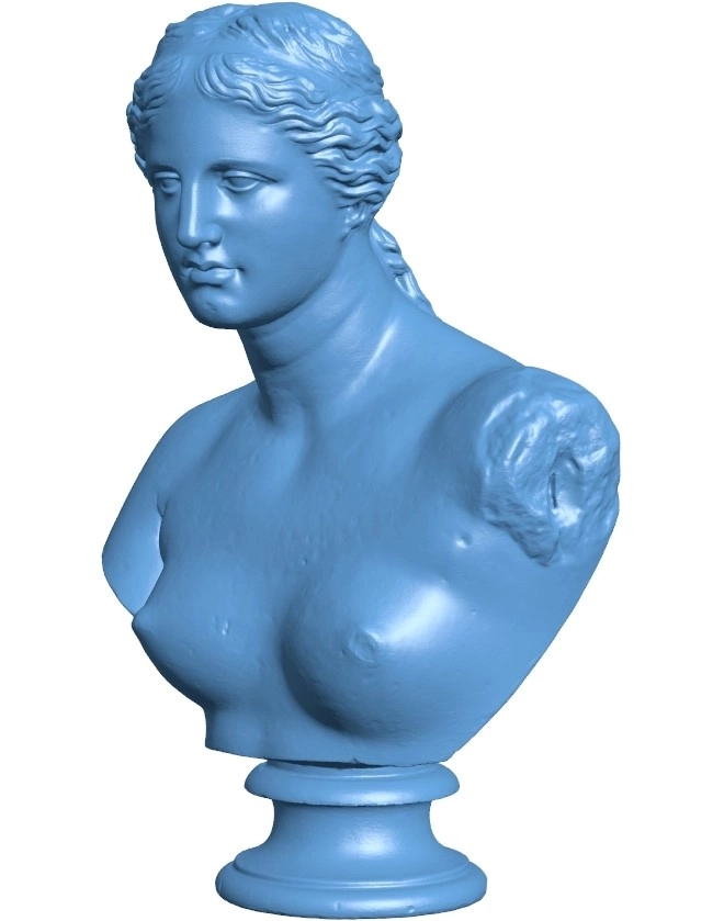 Bust of Venus de Milo