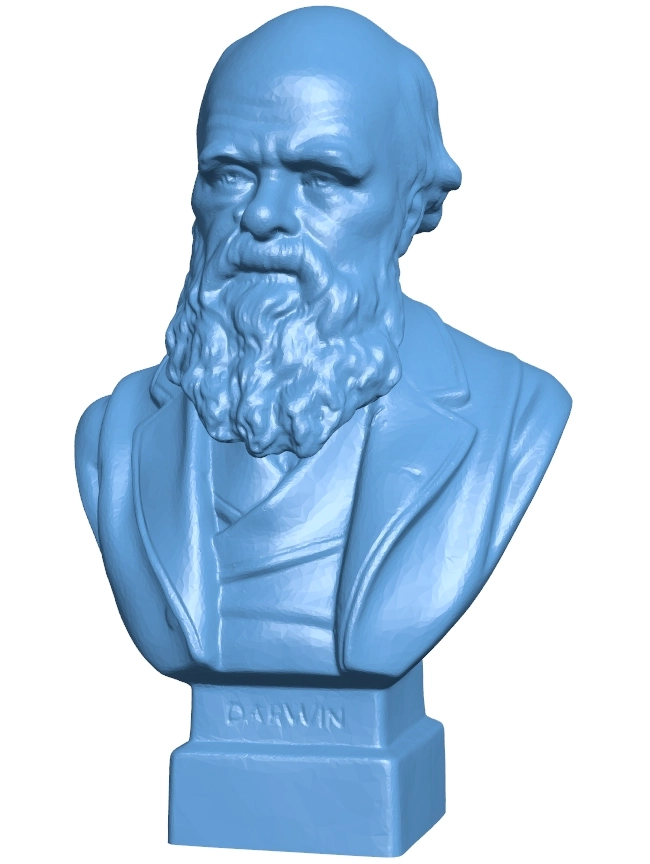 Darwin Bust