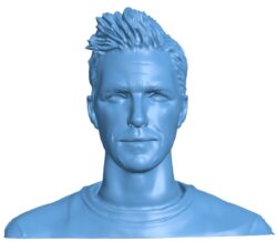 David Beckham – bust