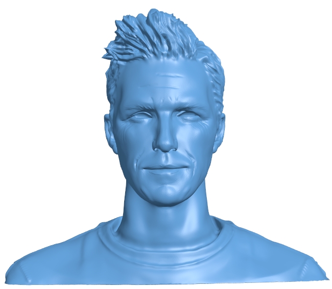 David Beckham - bust