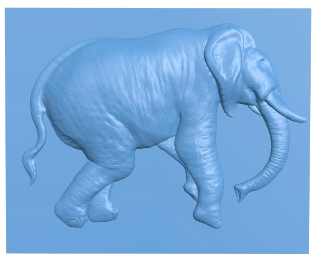 Elephant (2)