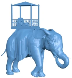 Elephant palanquin