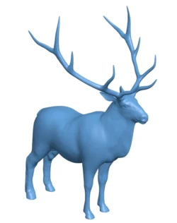 Elk